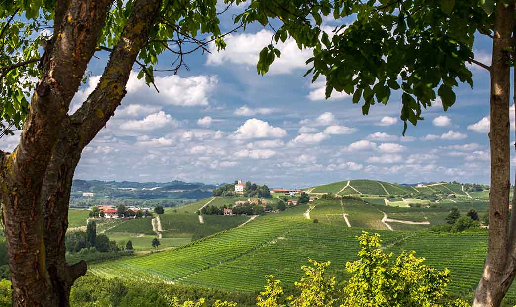 Quattro tappe estive in Friuli Venezia Giulia