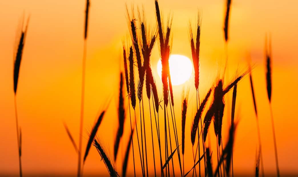 Equinozi e tradizioni