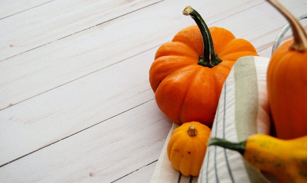 5 cose che non sapevi sulla zucca