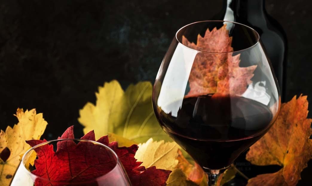 La stagione del Bardolino