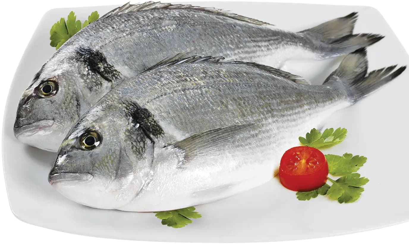 Orata - confezione risparmio