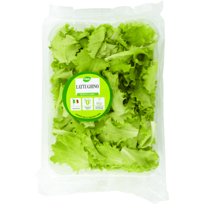 PAM Lattughino 100 g