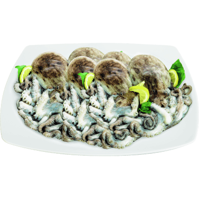 Moscardino i pescherecci