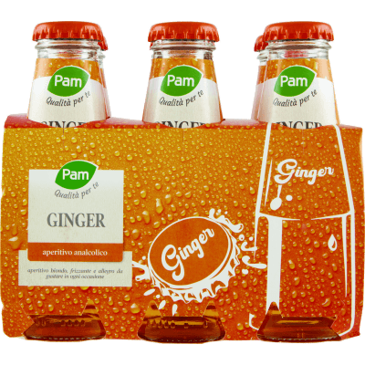 PAM PANORAMA Ginger 600 ml (100ml x 6)