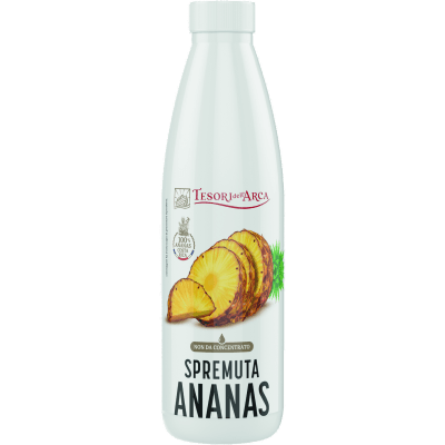 I tesori dell'arca ananas 100%