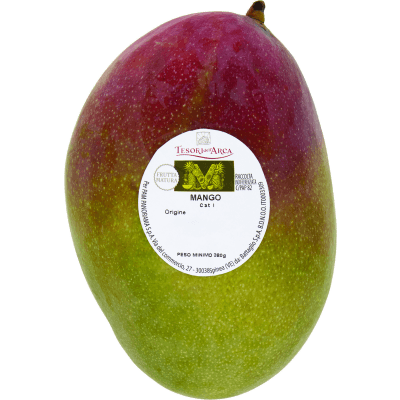 Tesori dell'arca mango 380 g