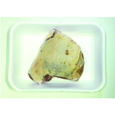 Tacchino sovracoscia