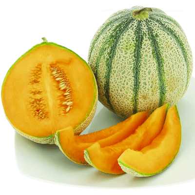 PAM meloni retati IGP di mantova