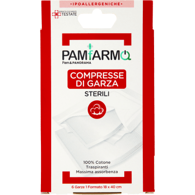 PAM PANORAMA Compresse di Garza 1 Formato 6 pz