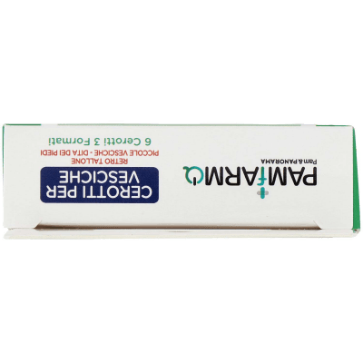 PAMFARMA Cerotti per Vesciche Assortiti 3 Formati 6 pz – immagine 13