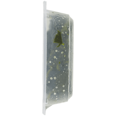 FRESCHE BONTA' Spinaci all'Olio 280 g – immagine 12