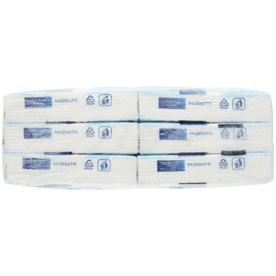 PAM PANORAMA Fazzoletti 4 veli di pura cellulosa 30 pacchetti – immagine 10