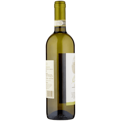 Cà del Plin Roero Arneis DOCG 75 cl – immagine 10