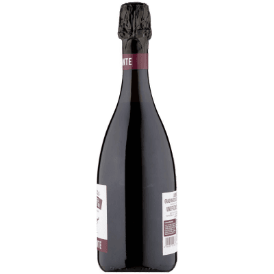 Lambrusco Grasparossa di Castelvetro DOC Rubinante 75 cl – immagine 12