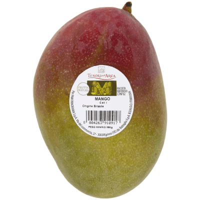 Tesori dell'arca mango 380 g – immagine 9