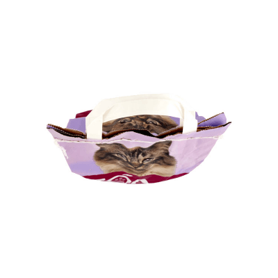 PAM PANORAMA Zóa Lettiera Assorbente 5 kg – immagine 13