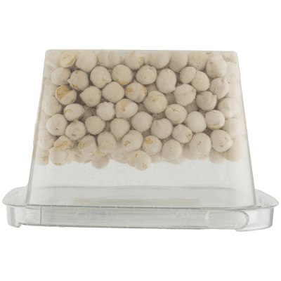 PAM Ceci Tostati e Salati 200 g – immagine 13