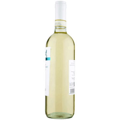 Vernaccia di San Gimignano DOCG - Bosco ai Salici – immagine 12