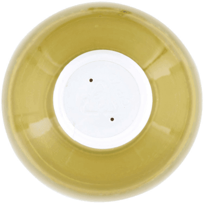 Vernaccia di San Gimignano DOCG - Bosco ai Salici – immagine 13