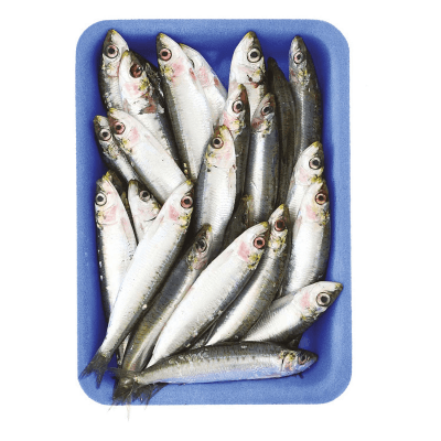 Sardine i pescherecci – immagine 5