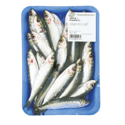 Sardine i pescherecci – immagine 6