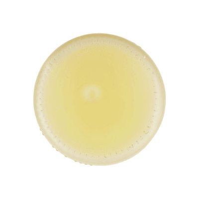 TESORI DELL'ARCA Limoncello 500 ml – immagine 14