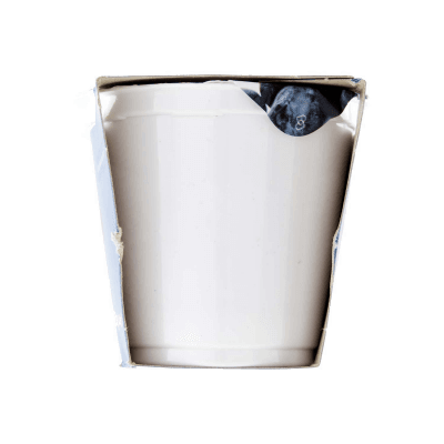 PAM PANORAMA Yogurt intero Cremoso ai Mirtilli 250g (125g x 2) – immagine 12