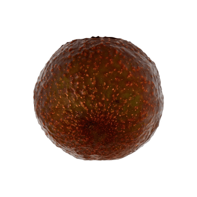 Avocado Verde 250g – immagine 7