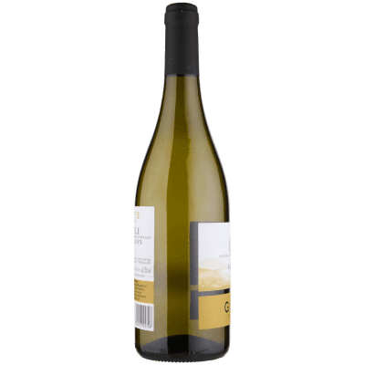 Gotis Furlanis Friuli DOC Sauvignon 75 cl – immagine 10