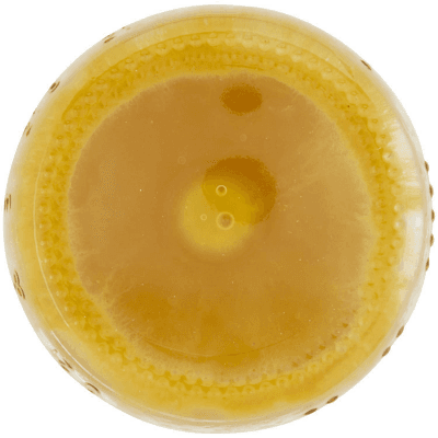 PAM Qualità per te Bevanda al Mango e Frutto della Passione 200 ml – immagine 14