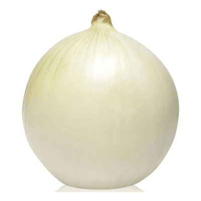 Cipolla bianca – immagine 6