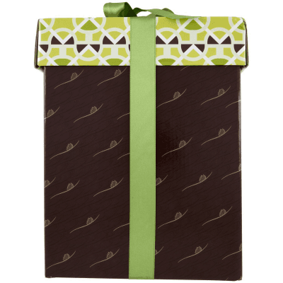 TESORI DELL'ARCA Pandoro Cacao con Crema di Pistacchio 1000 g – immagine 10