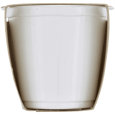 SEMPLICI E BUONI 0,1% di Grassi Fragola Yogurt Magro con Frutta in Pezzi 250g (2x125g) – immagine 12