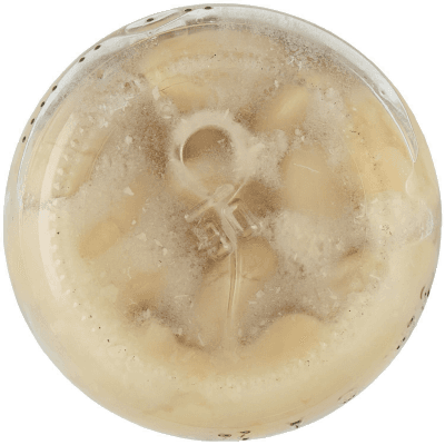 PAM Fagioli Cannellini 300 g – immagine 14