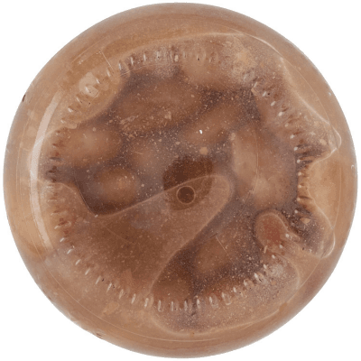 PAM Fagioli Borlotti 300 g – immagine 14