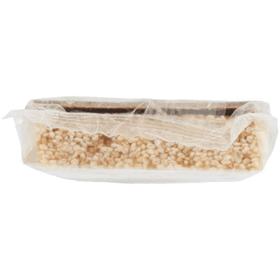 TESORI DELL'ARCA Croccante di Semi di Sesamo e Miele 100 g – immagine 13