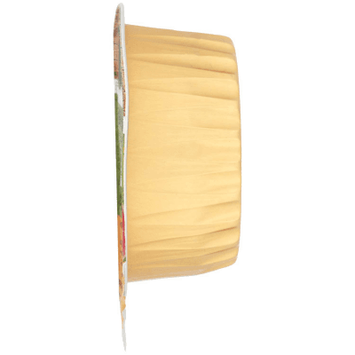 BIO Mela e Albicocca Biologica 100 g – immagine 12