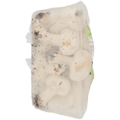 PAM Qualità per te Funghi Prataioli Coltivati 0,500 kg – immagine 10