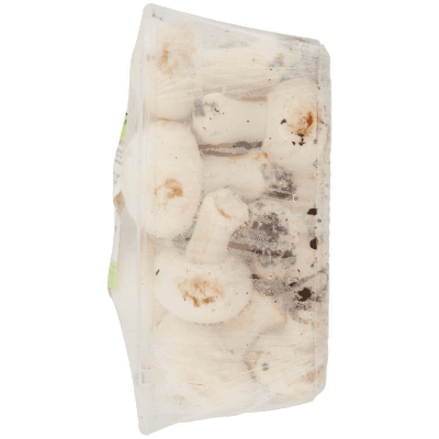 PAM Qualità per te Funghi Prataioli Coltivati 0,500 kg – immagine 12