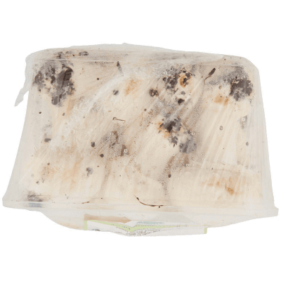 PAM Qualità per te Funghi Prataioli Coltivati 0,500 kg – immagine 13