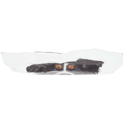 Giuntini Crancy DentalSnack per cani di media e grande taglia x7 180 g – immagine 13