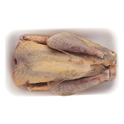 Faraona a busto – immagine 6