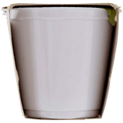 SEMPLICI E BUONI Probiotico al Mirtillo Nero 2 x 125 g – immagine 10