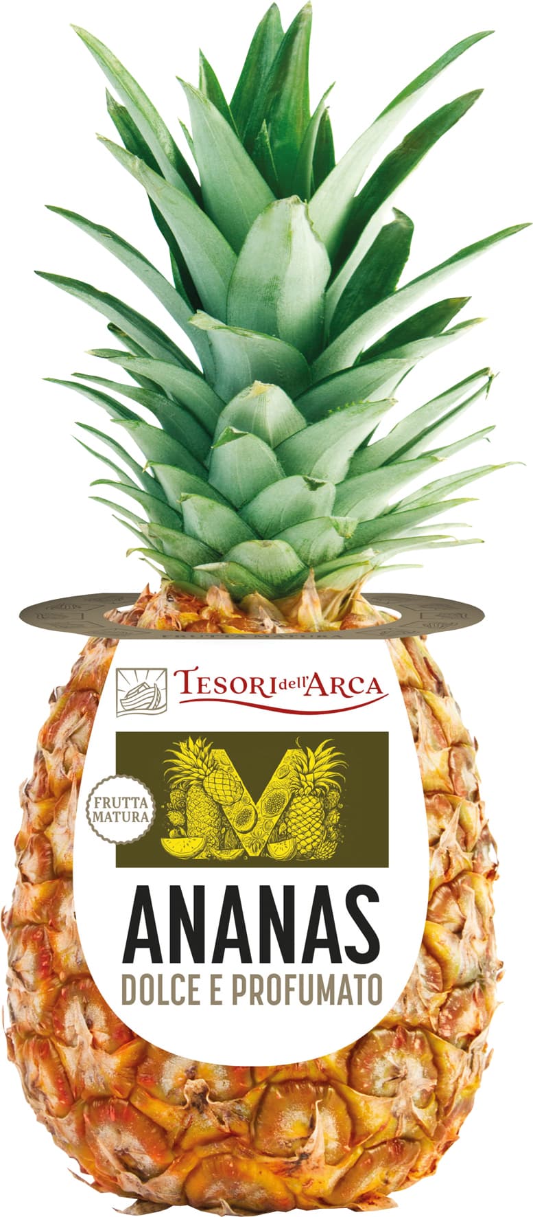 Ananas maturo in pianta Tesori dell’Arca – immagine 1