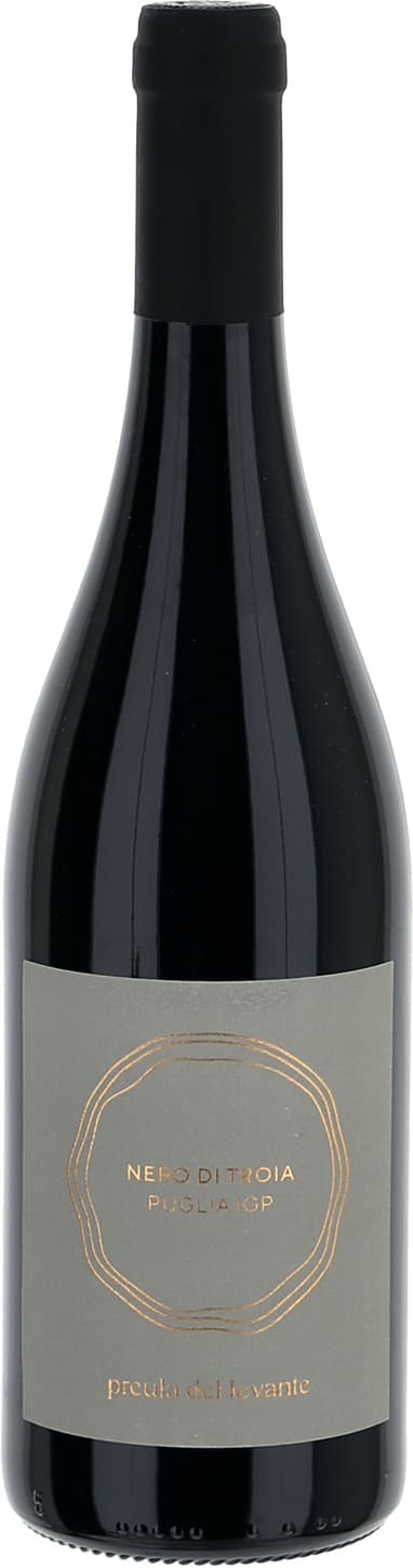 Nero di Troia Puglia IGP 2019 75 cl – immagine 1