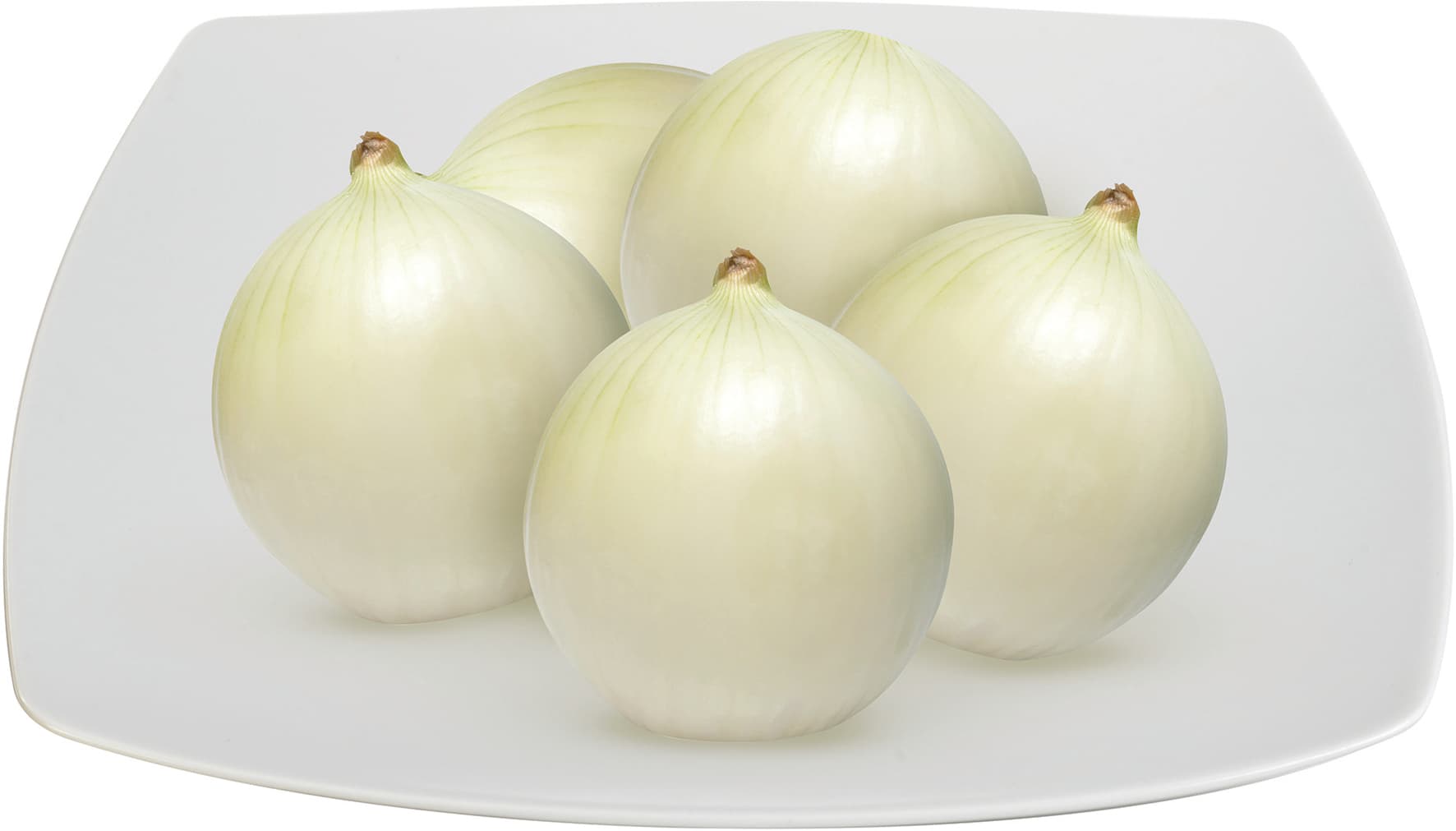 Cipolla bianca – immagine 1