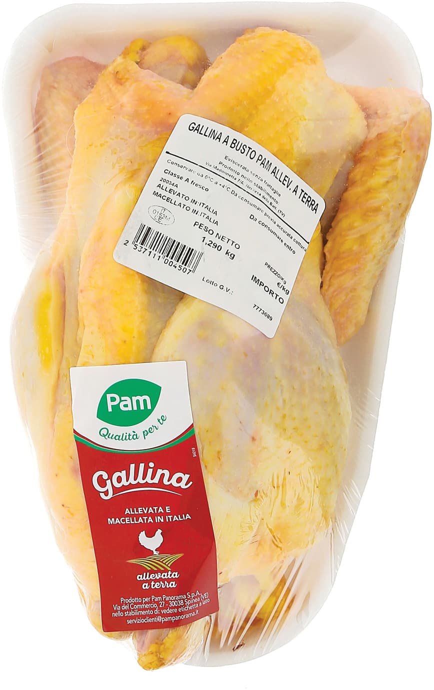 Gallina busto – immagine 1