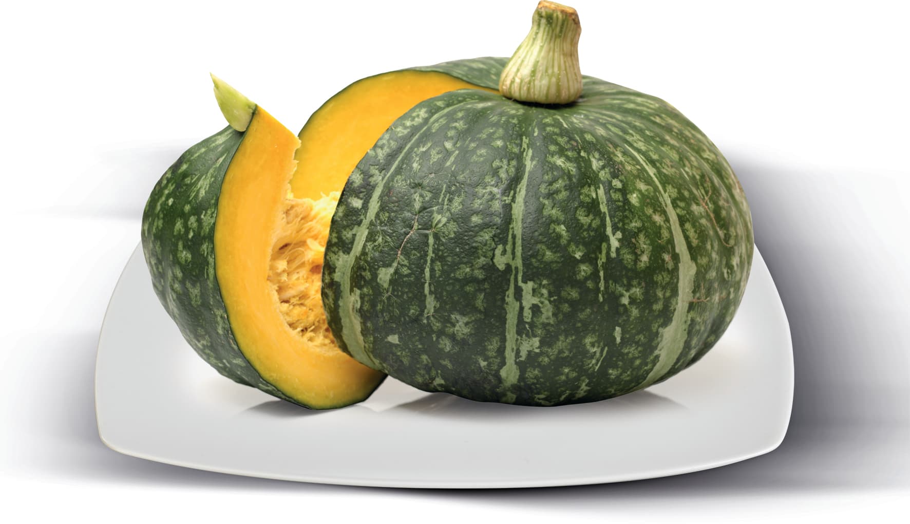 Zucca a meta' – immagine 1