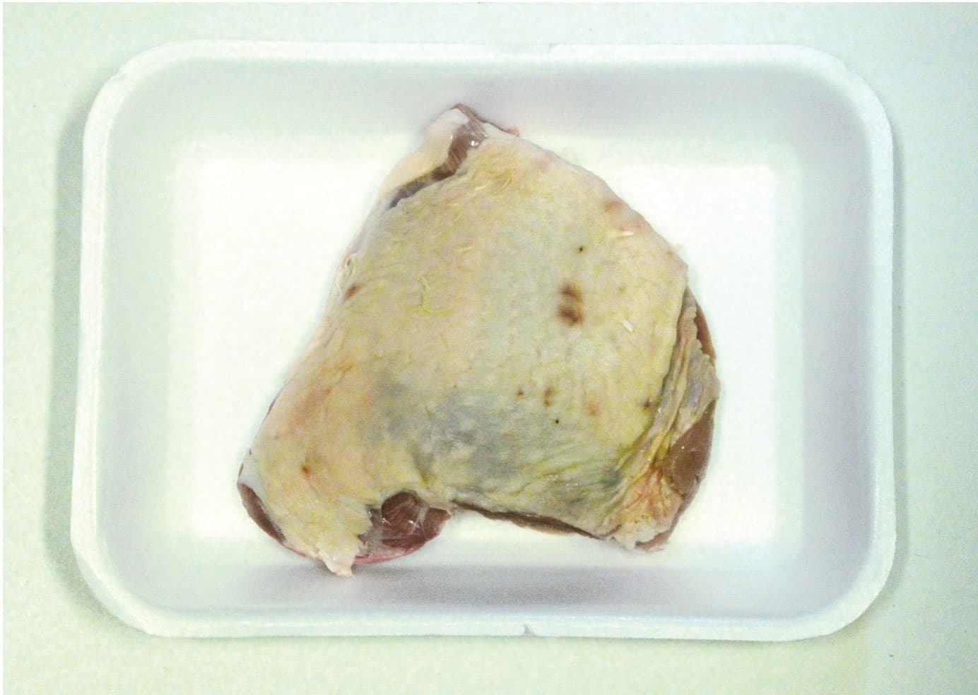 Tacchino sovracoscia – immagine 1