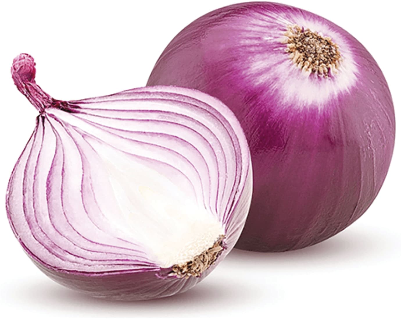Cipolle rosse – immagine 1